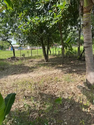 Terreno en venta