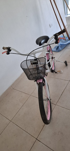 Bicicleta Con Canasto