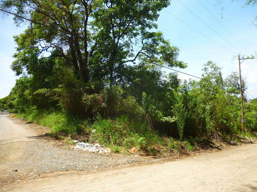 Imagem 1 de 18 de Terreno A Venda, Colinas De Indaiatuba Ii, Indaiatuba - Tr01631 - 4229513