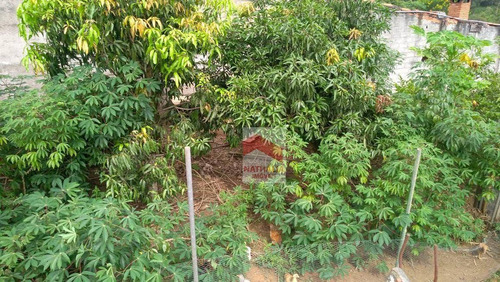 Imagem 6 de 24 de Chácara Com 5 Dormitórios À Venda, 4505 M² Por R$ 450.000,00 - Aldeia Ivoturucaia - Franco Da Rocha/sp - Ch0028