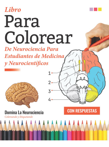 Libro Para Colorear De Neurociencia Para Estudiantes De Medi