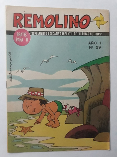 Revista Remolino 29 . Sotomayor . Sara Villalon . 1974 