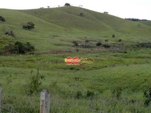 Fazenda - Sul De Minas - Cambuí-mg - Fa0040