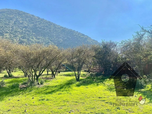 Lo Castro, Quebrada De Alvarado, Olmue. 5.000m2
