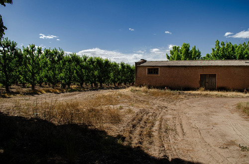 Finca En Venta En Tunuyán