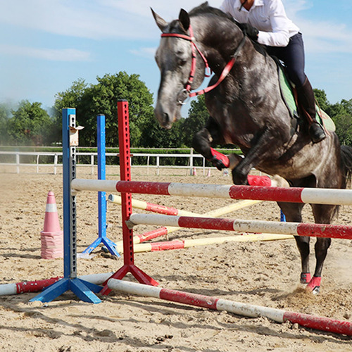 Imagen 4 de 7 de Caballo Campana Botas Piernas Delantero + Trasero Rojo Xl