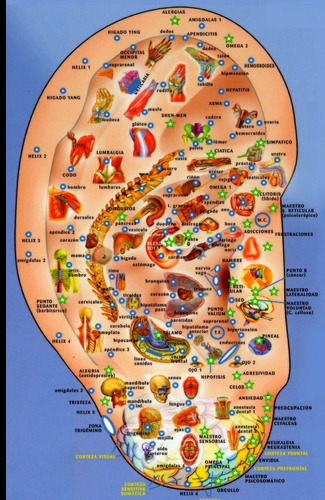 Auriculoterapia Curso Profesional,entrega De Certificado.