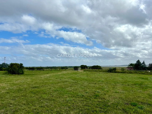 Chacra En Venta De 1 Ha. En Jose Ignacio, Zona Medellin