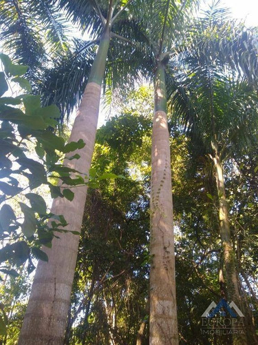 Chácara Com 1 Dormitório À Venda, 8700 M² Por R$ 220.000,00 - Água Do Pari - Jataizinho/pr - Ch0052