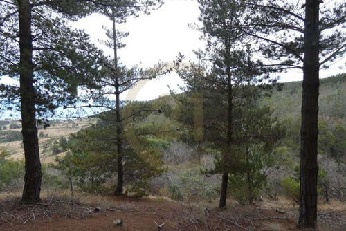 Terreno Tunquén: Naturaleza Y Vista Al Mar