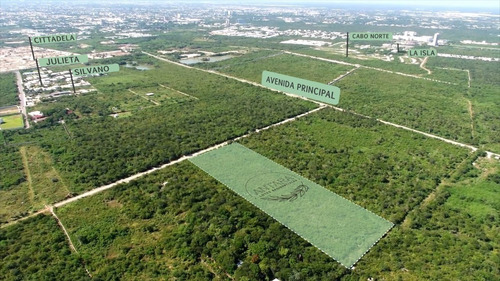 Imagen 4 de 5 de Lotes Residenciales En Privada Antara
