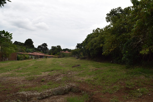 Imagen 8 de 14 de Lote Plano De 878 M2, 400m Al Este Del Lagar En San Isidro