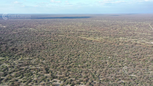 Se Vende Campo Ganadero De 3500 Ha En Mendoza, Argentina
