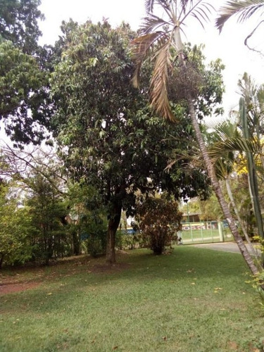 Imagem 5 de 23 de Chácara Em Chácara Cruzeiro Do Sul, Sumaré/sp De 1066m² 3 Quartos À Venda Por R$ 590.000,00 - Ch613746-s