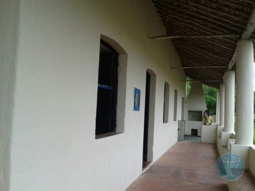 Imagem 4 de 15 de Fazenda Com Rio Maxaranguape Dentro - V-8846