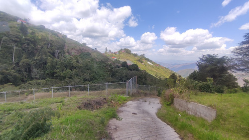 Terreno En Venta Sector TejerÃas La Colonia Tovar 25-1102 Mfc