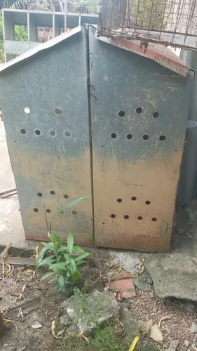Nidal Para Gallinas (Usado)