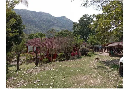 Vendo Finca De 30 Cuadras En Damasco Para Ganadería Cerca La Pintada