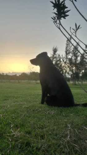 Imagen 2 de 2 de Vendo Lotes En Uribelarrea