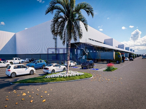 Imagem 2 de 13 de Galpao Para Alugar Em Aparecida De Goiania - Gl00119 - 69581132