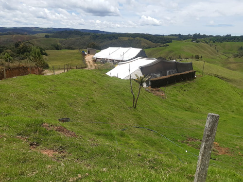 Venta Finca En Santa Rosa De Osos. Vereda Quitasol