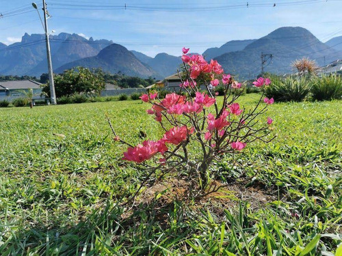 Imagem 5 de 11 de Terreno À Venda, 360 M² A Partir De R$ 122.000 - Cotia - Guapimirim/rj - Te0410