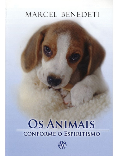 Os Animais Conforme O Espiritismo
