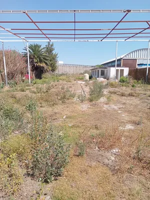 Terreno en renta