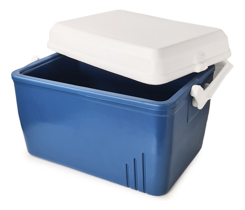 Conservadora Térmica Deses Plast 17 Lts Color Azul/blanco
