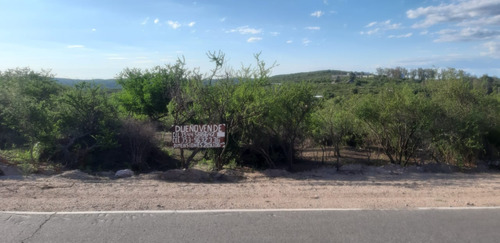 Lote En Dique La Viña