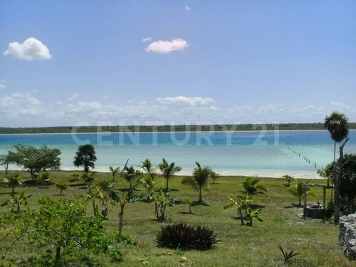 Imagen 4 de 7 de Terreno A La Venta - Isla Blanca, Isla Mujeres, Quintana Roo.