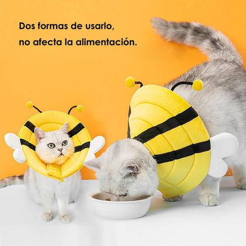 Collar De Recuperación Para Gatos, Collar Isabelino Para Per