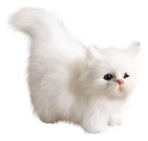Comprar Lc A Simulação Brinquedos De Gato Brinquedos De Pelúcia
