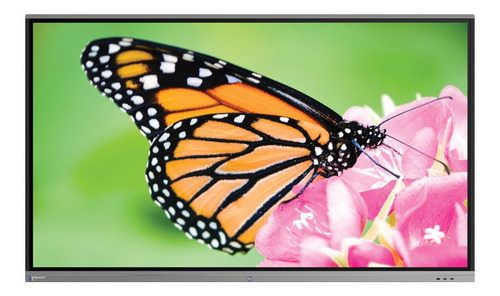 Pantalla Interactiva Led Touch Boxlight Procolor 753u 4k