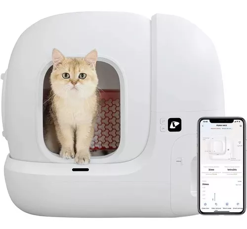 Arenero automático para gatos: los mejores modelos autolimpieza