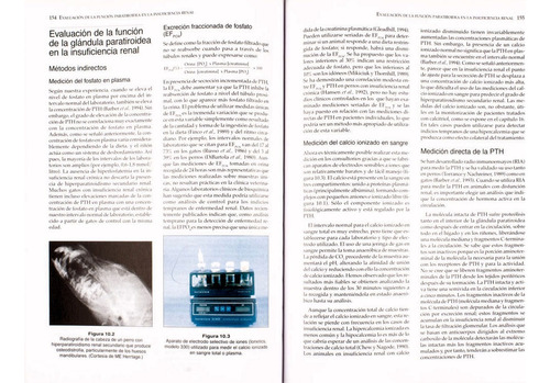 Manual De Nefrología Y Urología En Pequeños Animales