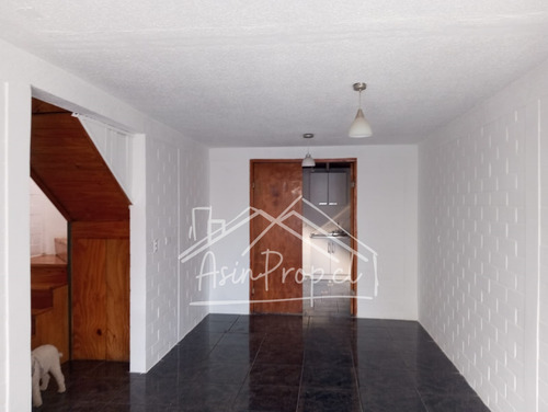 Arriendo Casa Una Pareja Mas Mascota