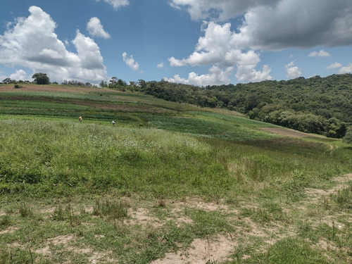 Imagem 13 de 30 de 20o Terreno Para Venda 1000m Em Cotia