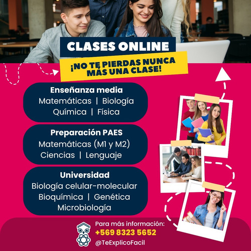 Clases Particulares E. Media, Paes, Universidad, Tesis Y Más