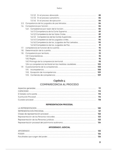 Imagen 4 de 10 de Litigacion Oral En El Proceso Civil