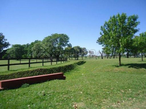 Excelente Lote En Barrio Haras El Malacate, Exaltación De La Cruz.