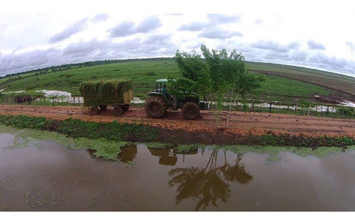 Imagen 14 de 19 de Finca Agropecuaria En Guárico Con Pista De Aterrizaje