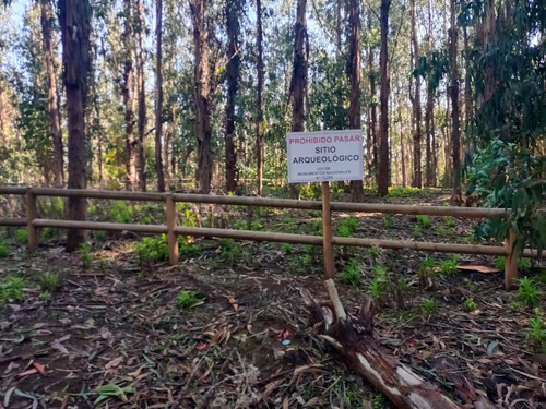 ¡donde La Naturaleza Y El Amor Se Unen!