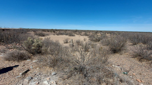 Campo En Venta En Las Catitas, Santa Rosa, Mendoza