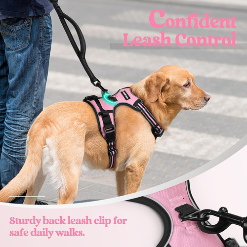 Arnés Para Perro Rabbitgoo No Tirar, Ajustable, Talla L