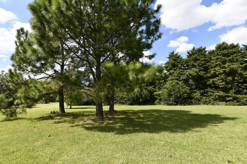 Imagen 5 de 10 de Ultimos Lotes Al Golf!! En Venta En Country San Diego-