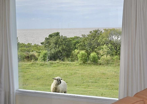 Imagen 8 de 18 de Maravillosa Chacra De 37,5 Ha Con Casa A La Costa Del Rio En Artilleros, Colonia, Uruguay.