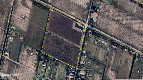 Finca Premium De Ciruelas Dagen Con Infraestructura De Alta Tecnología Cuadro Benegas San Rafael