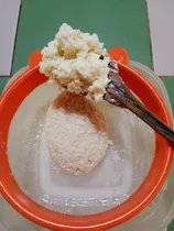 Comprar Probiotico.. Kéfir, Búlgaros, Yogurt 