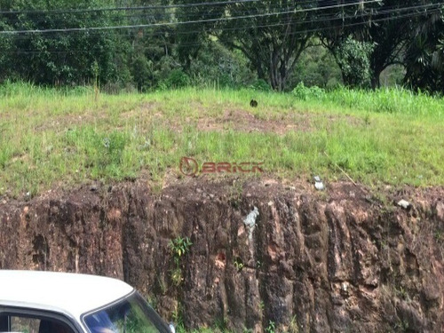 Imagem 3 de 8 de Terreno De 535 M² Dentro De Condomínio Na Tijuca, Teresópolis/rj - Te00179 - 33472926